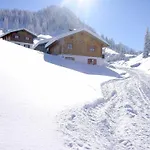 Vakantiehuis Alpenchalet Garfrescha *